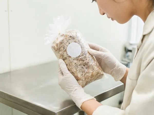 Grower checking filter patches before receiving