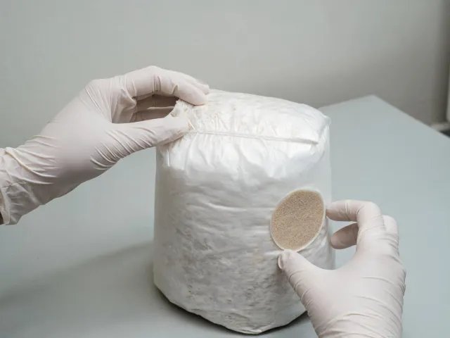 Grower inspecting sealed bag and filter patch